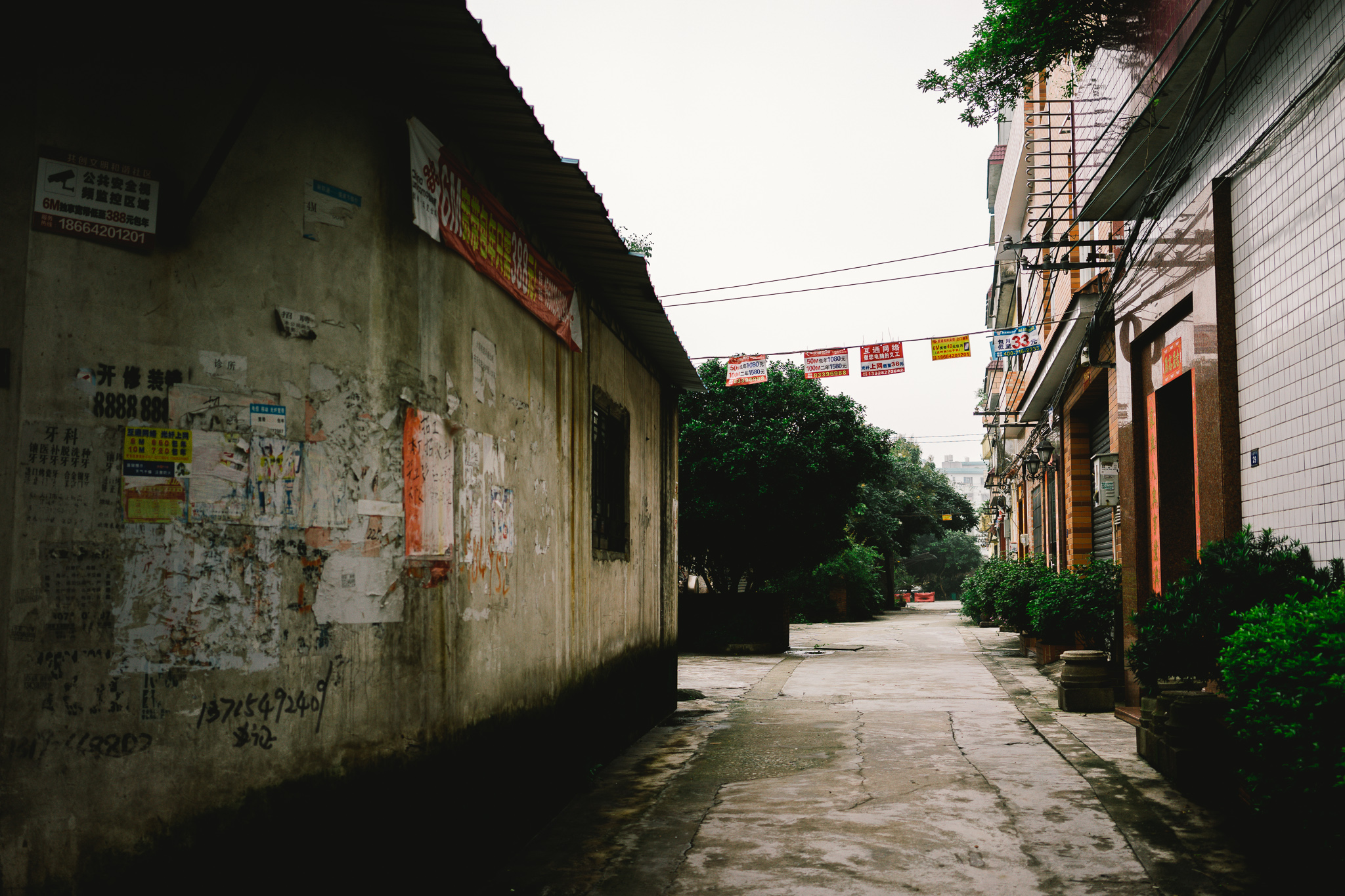 Shunde, 2014
